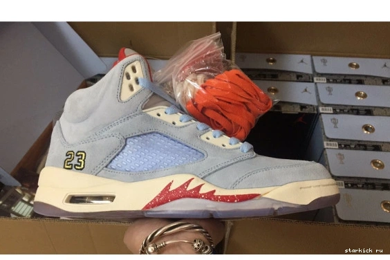JORDAN CI1899-400 JSP ROOM AIR TROPHY 5 X BLUE ICE CI1899-400 0510